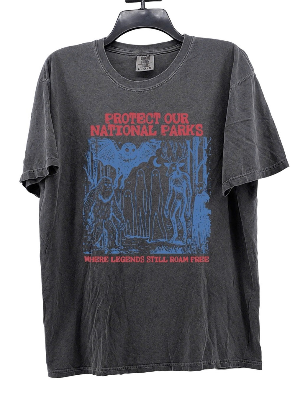 Protect Our National Parks Graphic T-Shirt Comfort Colors Tshirt